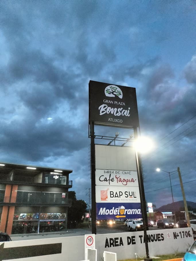 Lonas e Impresión Gran Formato proyecto en Puebla
